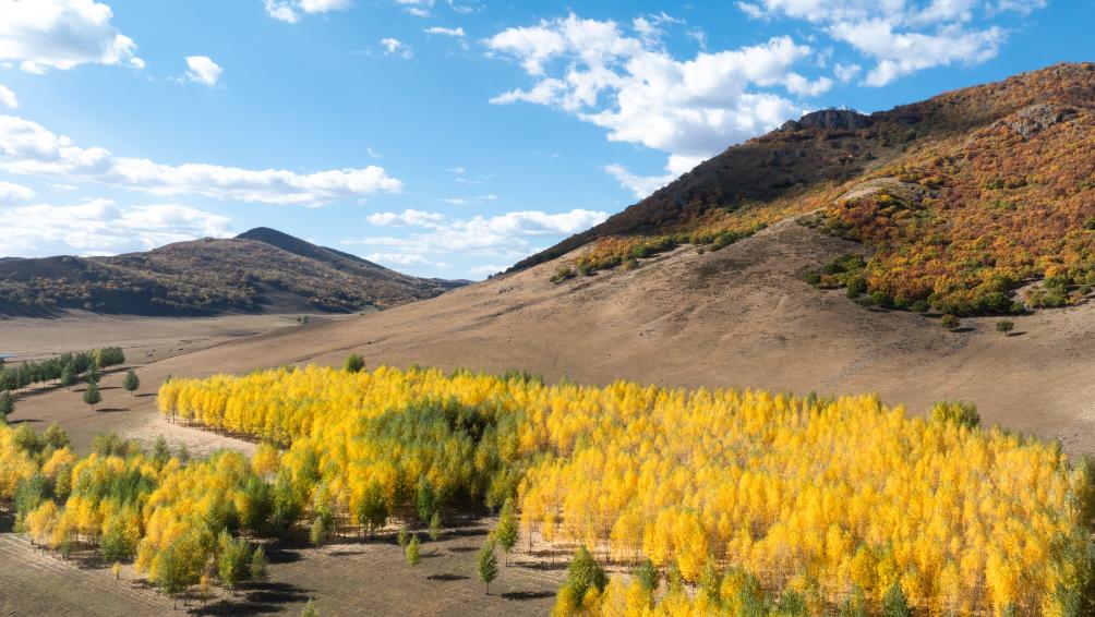 内蒙古科右前旗：层林尽染秋意浓 