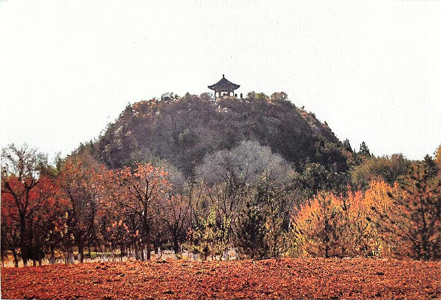 青冢秋景 昭君博物院供图